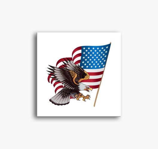 American Eagle slika na platnu