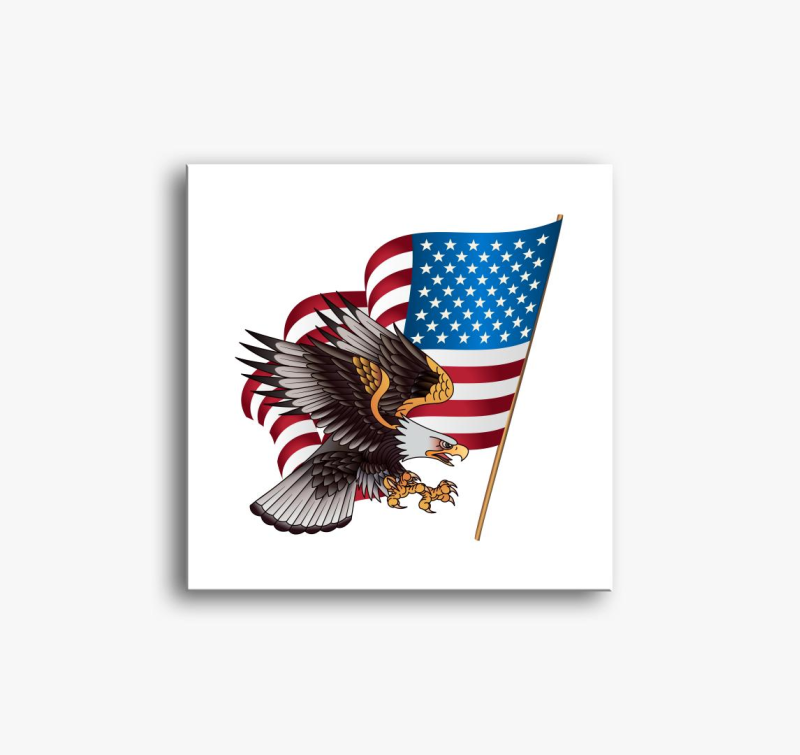 American Eagle slika na platnu