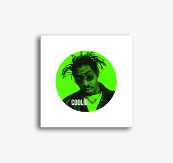 COOLIO (FMS) slika n