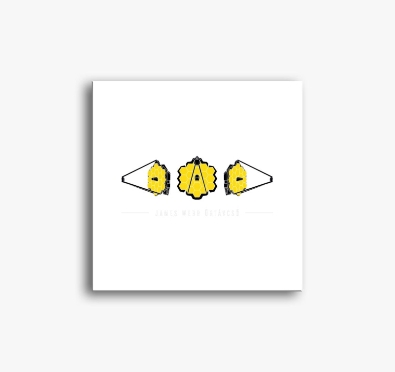 Spacejunkie JWST slika na platnu