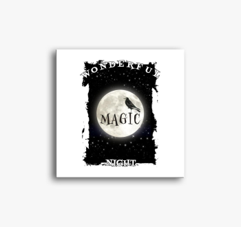 Wonderful Magic Nigh...