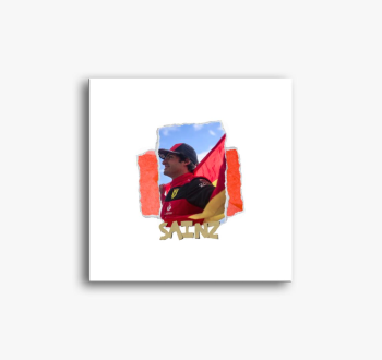 Sainz II. slika na p