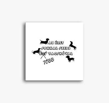 szebb slika na platn