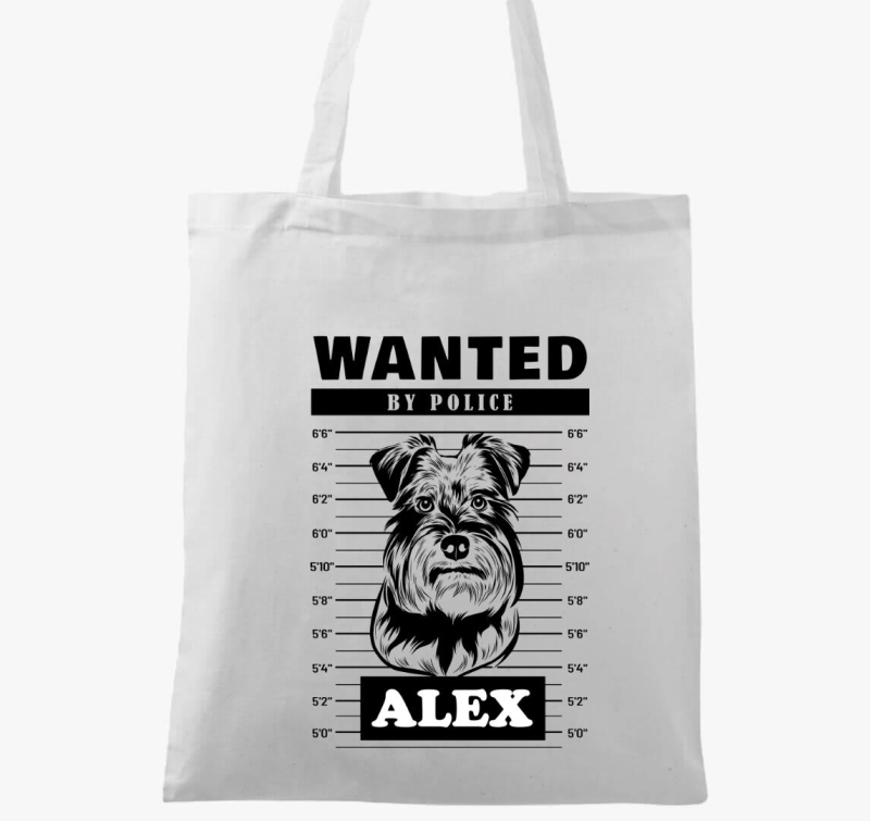 Schnauzer wanted