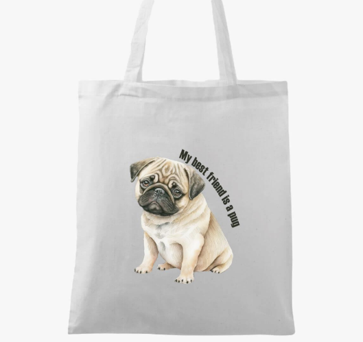 My best friend is pug