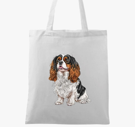 Spaniel