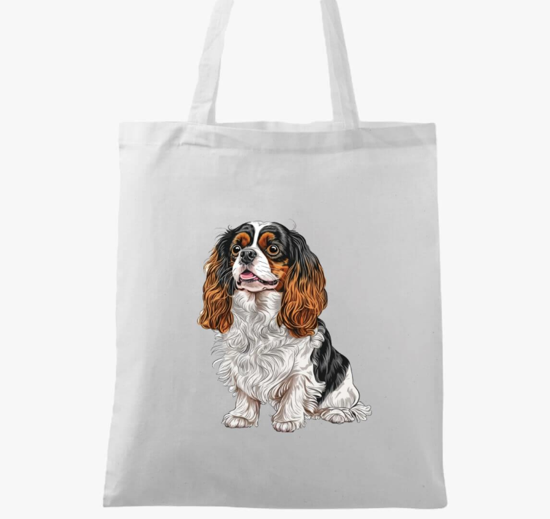 Spaniel