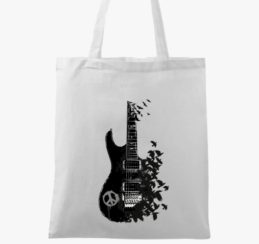 Black guitar and crow