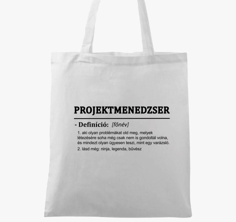 Projektmenedzser